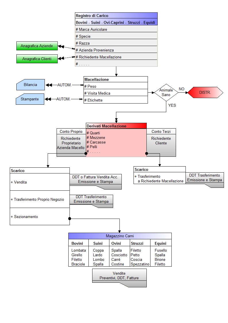 Diagramma Flusso - Gestione Macello